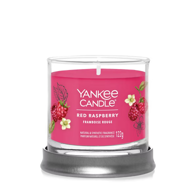 Ароматична свічка Red Raspberry Small Yankee Candle