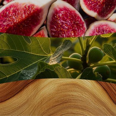 Ароматична свічка з ароматом інжиру та керду Woodwick Ellipse Verdant Fig 453 г